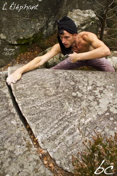 "Orange Circuit" (5)